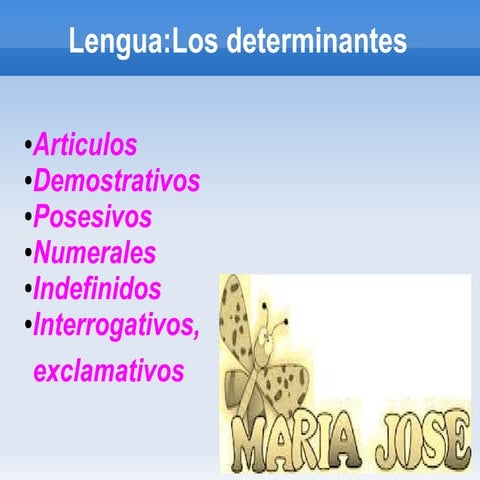 Los determinantes