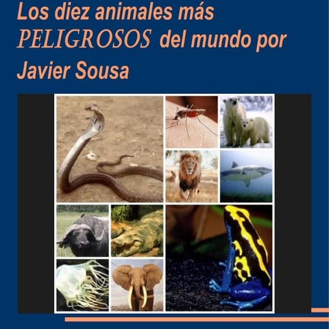 Los diez animales más peligrosos