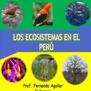 Los ecosistemas en el perú
