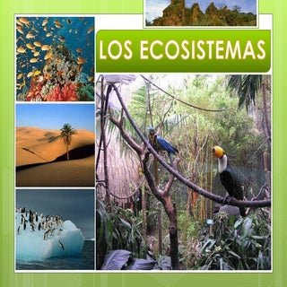 Los ecosistemas