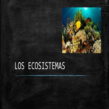 ECOSISTEMAS 4BASICO | PPTX