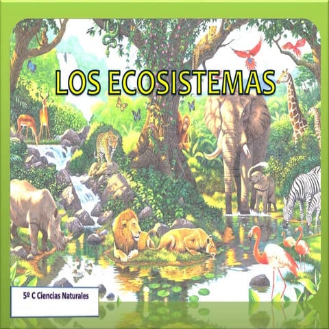 Los ecosistemas 5º c