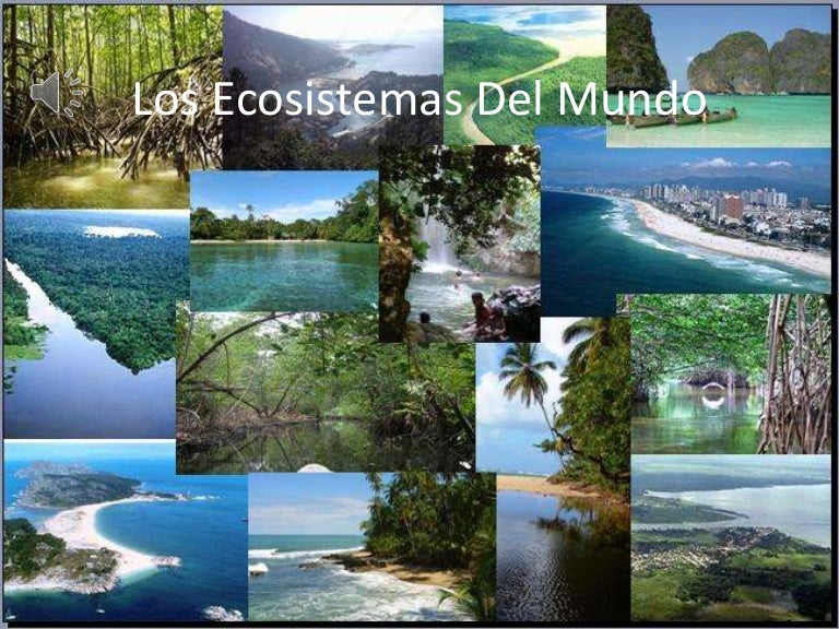 Los Ecosistemas Del Mundo