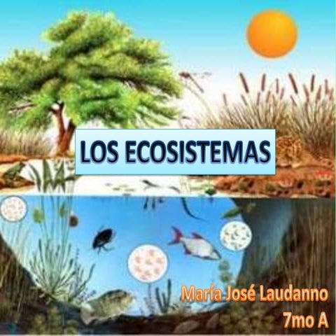 Los ecosistemas _majo