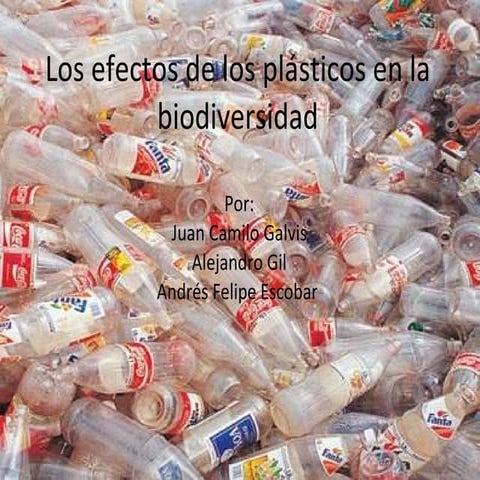 Los efectos de los plásticos en la biodiversidad