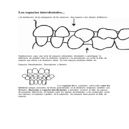 Resumen Final Oclusión Dental, RELACION CENTRICA, MAXIMA ...