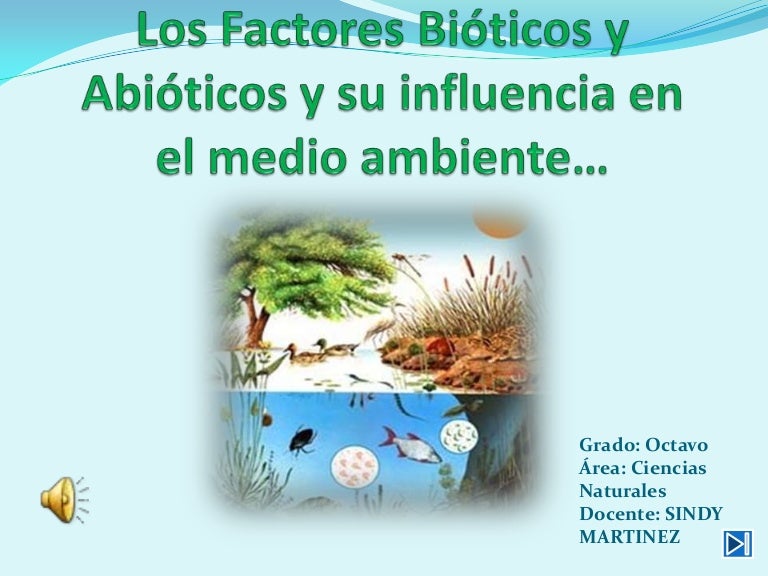 cadena alimenticia biotica los factores bi 243 ticos y abi 243 ticos y su influencia 1 cadena alimenticia biotica los factores bi 243 ticos y abi 243 ticos y su influencia 1