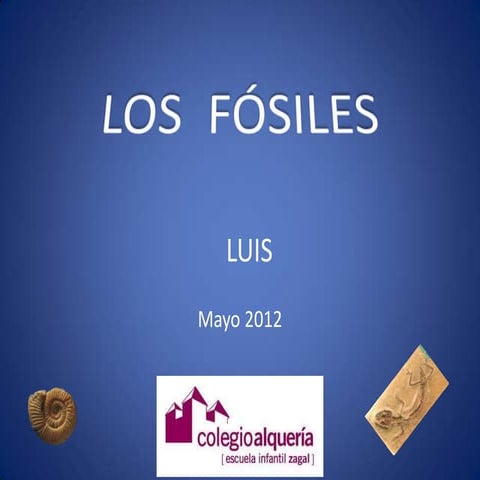 Los fósiles 2012