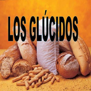 Los glucidos
