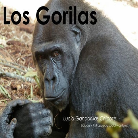 Los gorilas