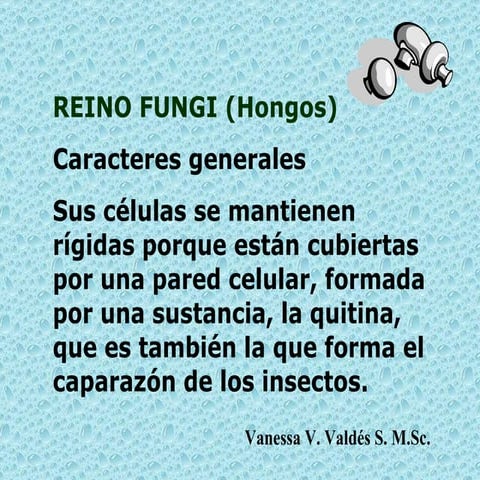 Los  hongos