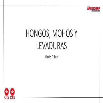 Los hongos