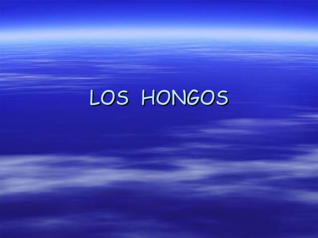 Los  hongos leyre e ilea