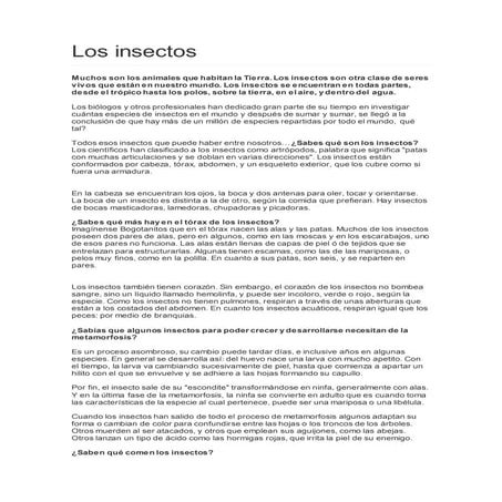 Revista los insectos | PDF