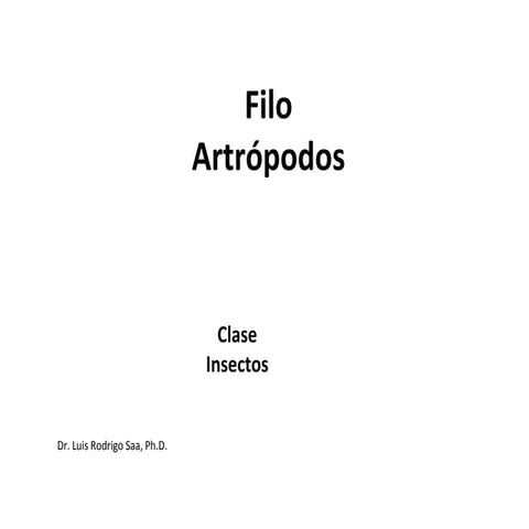 Filo artrópodos-clase insectos | PPT