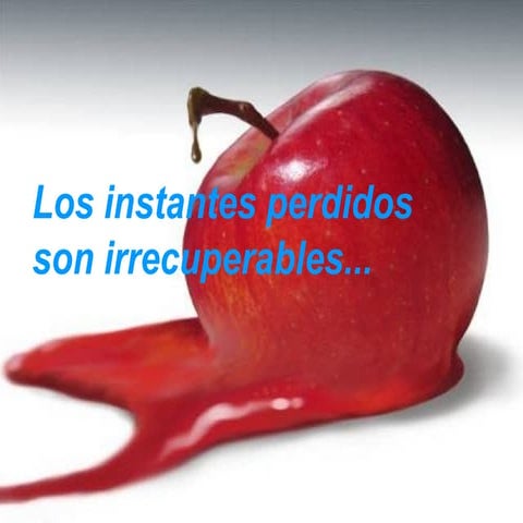 Los instantes perdidos