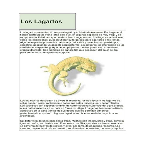 Los lagartos