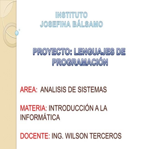 Los lenguajes de programacion