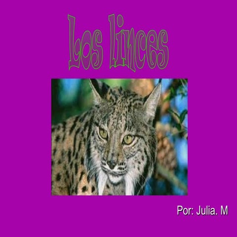 Los linces