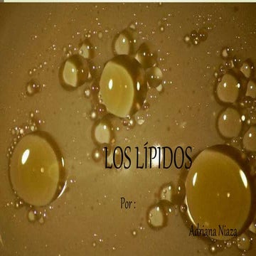 Los lipidos