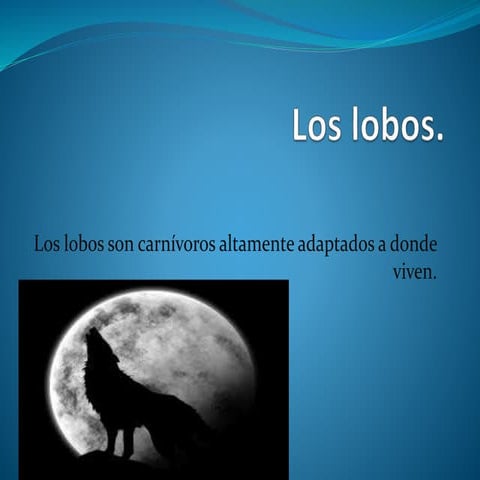 Conoces a los lobos | PPTX
