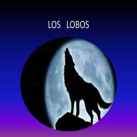 El Llop | PPT