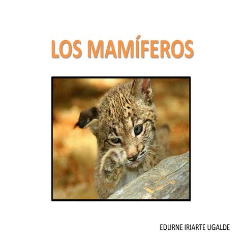 Los mamíferos primaria