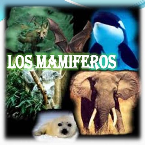 Los mamiferos