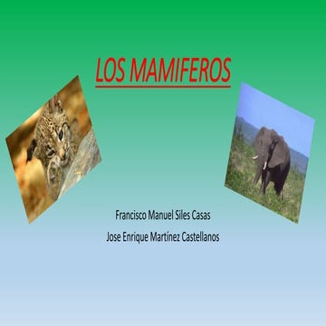 Los mamiferos