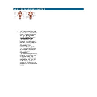Los músculos del cuerpo