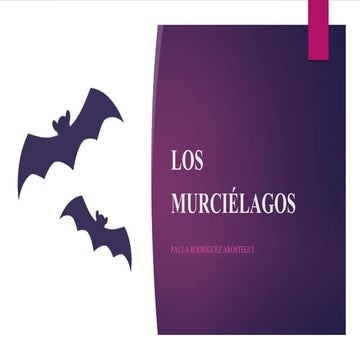 Los murcielagos