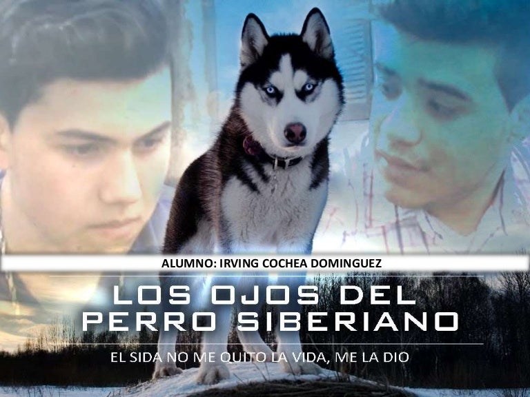 Los ojos del perro siberiano Los ojos del perro siberiano