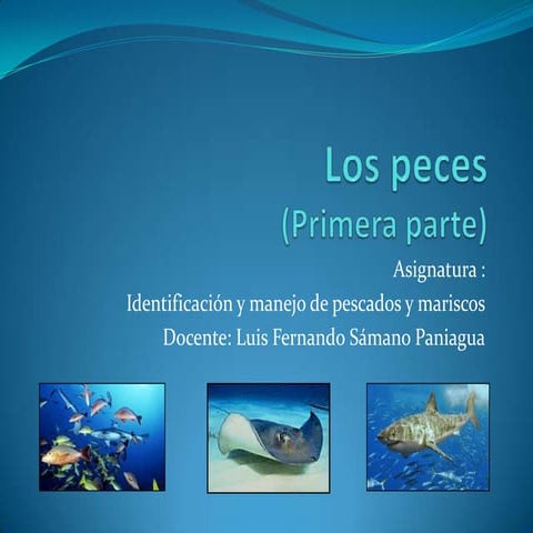Los peces, 1a parte (clasificación de)