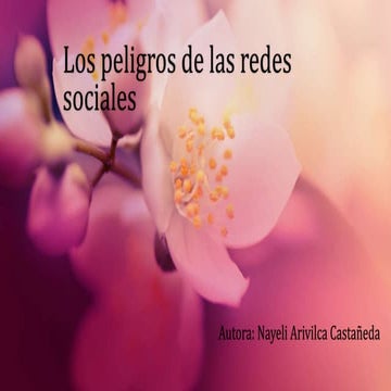 Los peligros de las redes sociales | PPTX