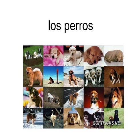 Los perros