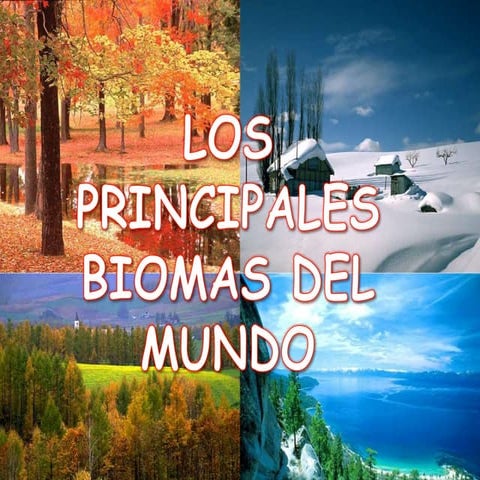 principales biomas del mundo