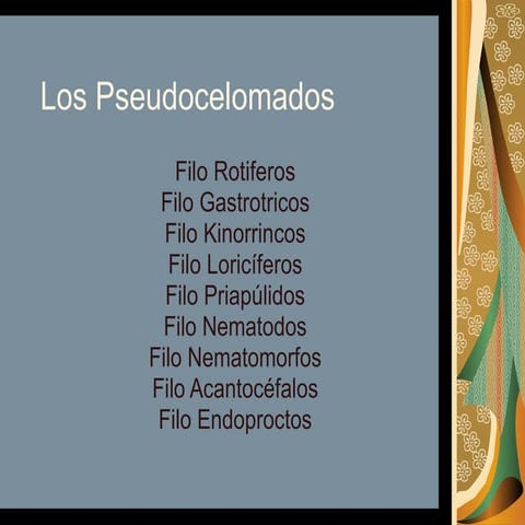 Los pseudocelomados