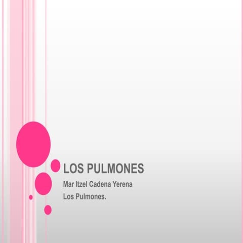 Los Pulmones