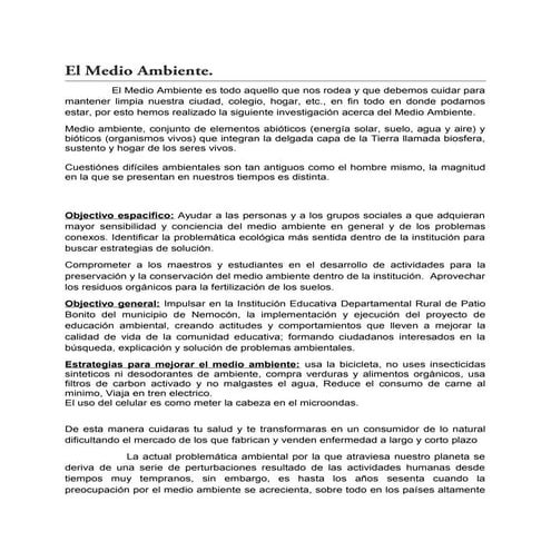 Los puntos mas importantes del medio ambiente 