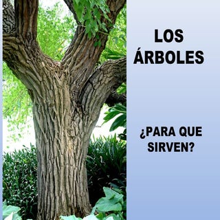 Los árboles