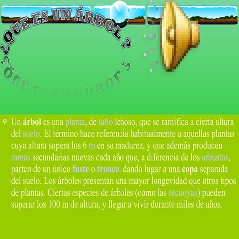 Los árboles y sus dioses