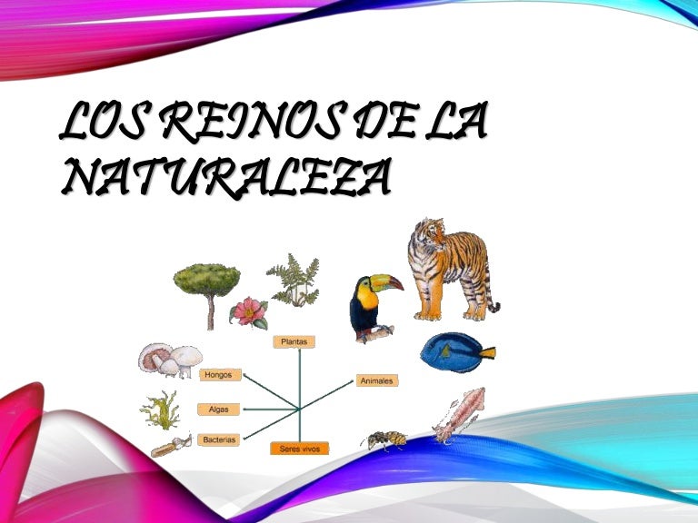 Los reinos de la naturaleza