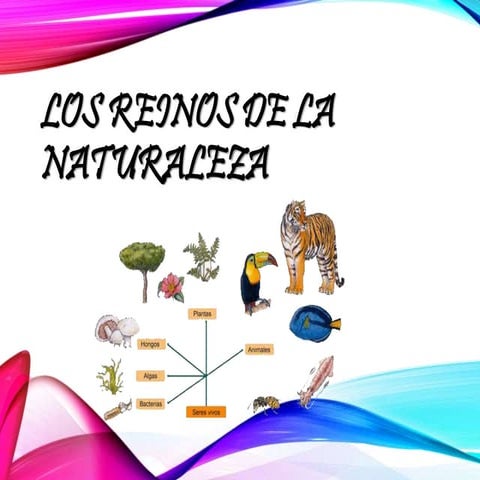 Los reinos de la naturaleza