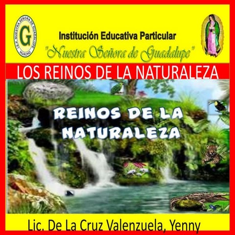 Los reinos de la naturaleza | PPTX