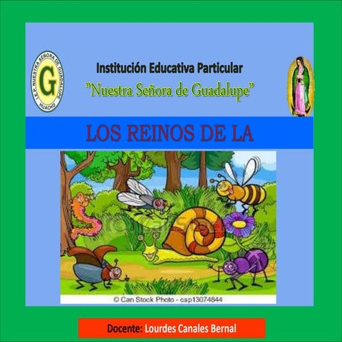 Reinos de la naturaleza | PPTX