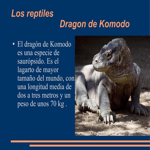 Los reptiles