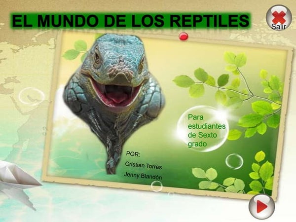 Nutrición de los seres vivos | PPT