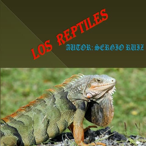 Los reptiles. sergio ruiz