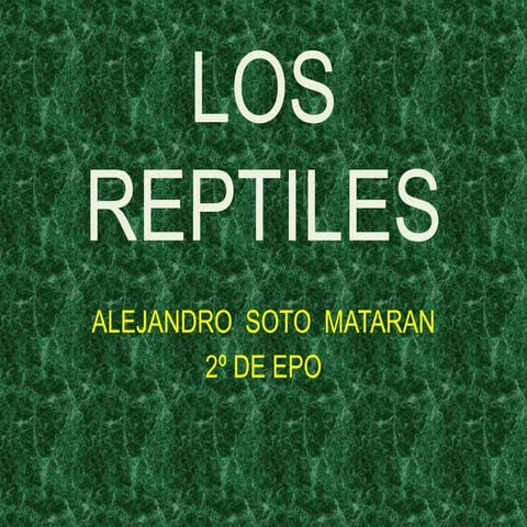 Los reptiles