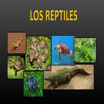 Los reptiles